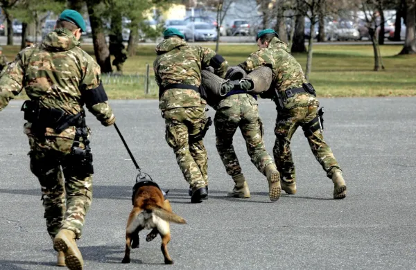 Vojaki s specifičnimi znanji bodo lahko v vojski ostali tudi po 45. 
letu. 