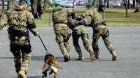 Vojaki s specifičnimi znanji bodo lahko v vojski ostali tudi po 45. 
letu. 