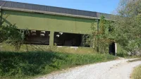 Nedaleč od mestnega središča se je na območju nekdanjega Ideala 
sredi septembra zgodil umor, ki ga kriminalisti intenzivno preiskujejo.   