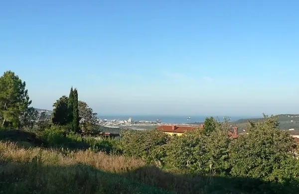 Izklicne cene za tri sklope večjih zemljišč na območju Škofij 
znašajo  od 77.305 do 81.376 evrov.