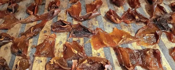 Kakijevi krhlji v sušilnici