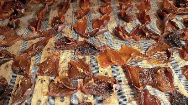Kakijevi krhlji v sušilnici