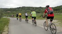 Za več reda na Parencani