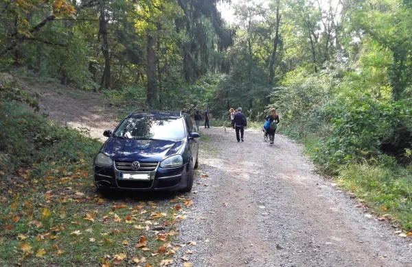 V gozdovih, kjer je promet avtomobilov prepovedan, redarji 
napišejo predlog gozdni inšpekciji, ki ukrepa zoper kršitelja. (Foto: 
Helena Race)