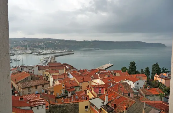 Izolska neprofitna stanovanja in poslovni prostori so v lasti 
občine, z njimi pa upravlja Komunala.  