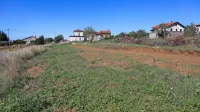 Zemljišče v Kolombanu je že očiščeno. V ospredju fotografije je 
Popovičeva parcela, v ozadju Andjelkovićeva, desno zgoraj pa 
Dovšakova.