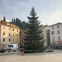 Na videz jelke, ki vsako leto krasi Tartinijev trg, so Pirančani še 
posebej občutljivi. 