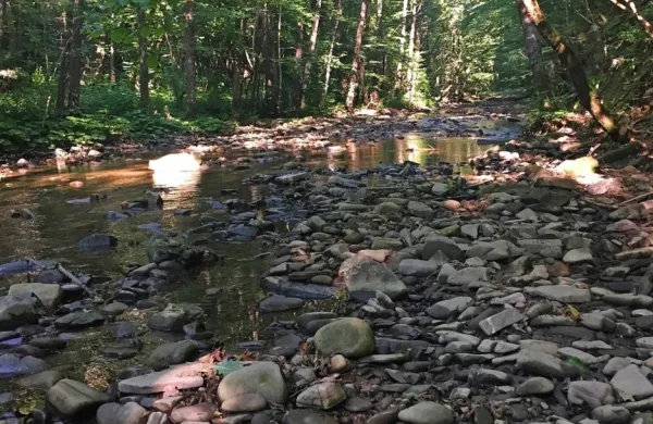 Včeraj podpisana pogodba predvideva izdelavo dokumentacijo za 
zajezitev Suhorice in po potrebi  tudi Padeža. 