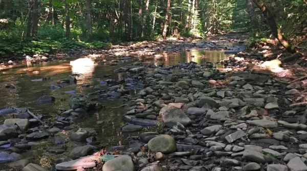 Včeraj podpisana pogodba predvideva izdelavo dokumentacijo za 
zajezitev Suhorice in po potrebi  tudi Padeža. 