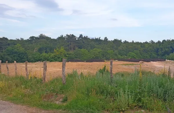 Odpadno blato je poleti končalo tudi na zemljišču, ki je v lasti države, v Lokvi. Nato so blato zasuli. 