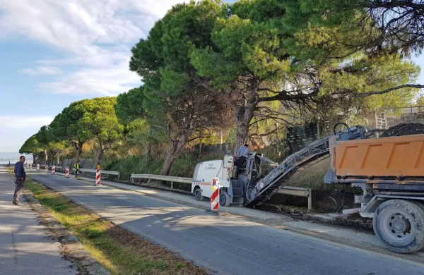 V zavodu za varstvo narave ocenjujejo, da je glede na razpoložljivost prostora na  obalni cesti izvedba del tik ob drevesih 
neutemeljena in nepremišljena.