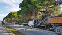 V zavodu za varstvo narave ocenjujejo, da je glede na razpoložljivost prostora na  obalni cesti izvedba del tik ob drevesih 
neutemeljena in nepremišljena.