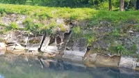 Betonske obloge na nekaterih delih brežine kanala so že povsem 
uničene. 