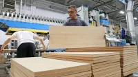 Lesna industrija beleži rast