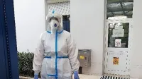 Barbara Blaževič pred vstopom v sivo cono covid oddelka v 
sežanski bolnišnici.