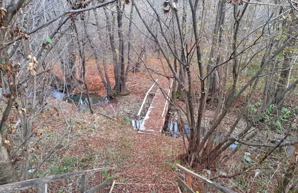 Izcedne vode iz Globovnika se stekajo v potok Trnovšek, iz njega pa v Reko in po njej do Škocjanskih jam. 