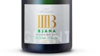 [vino] Giant Millésime 2011 (Bjana)