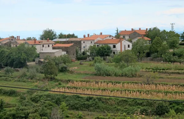 Prebivalci na območju KS Gradin že dolga leta opozarjajo, da imajo 
zaradi slabega komunikacijskega omrežja velike težave z mobilnim signalom.