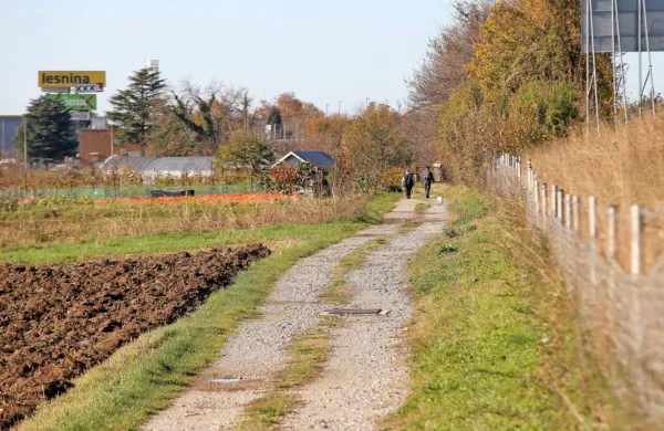 Prihodnje leto bo ob hitri cesti namesto kolovoza vodila asfaltirana kolesarska steza.