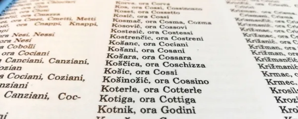 Knjiga Izbrisana identiteta obravnava nasilje fašizma na Primorskem, v Istri in Kvarnerju, s poudarkom na poitalijančevanju 
priimkov in imen ter krajevnih imen v obdobju 1919-1945.