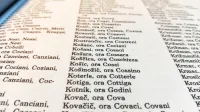 Knjiga Izbrisana identiteta obravnava nasilje fašizma na Primorskem, v Istri in Kvarnerju, s poudarkom na poitalijančevanju 
priimkov in imen ter krajevnih imen v obdobju 1919-1945.