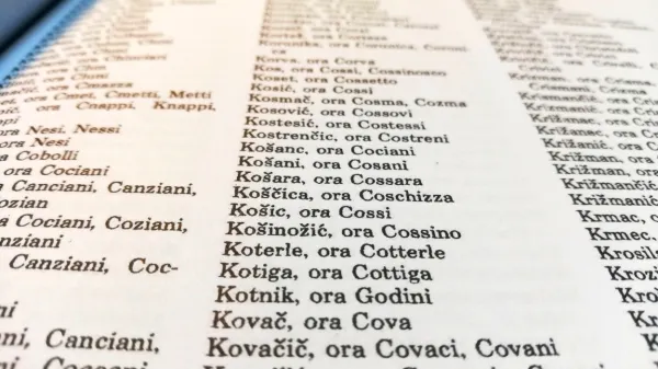 Knjiga Izbrisana identiteta obravnava nasilje fašizma na Primorskem, v Istri in Kvarnerju, s poudarkom na poitalijančevanju 
priimkov in imen ter krajevnih imen v obdobju 1919-1945.