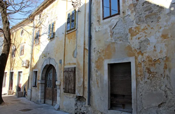 Prenova Rustjeve hiše  bo z novimi vsebinami prispevala tudi k 
oživitvi mestnega središča.