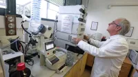 V Ljubljani potrjujejo nacionalni pomen laboratorija Inštituta za 
oljkarstvo in obljubljajo rešitev njegove prostorske zagate. Na 
fotografiji je dr. Bojan Butinar, eden pionirjev raziskav na področju 
oljkarstva pri nas. 