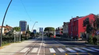 Praznične lučke bodo letos zasvetile tudi na Prešernovi cesti.    