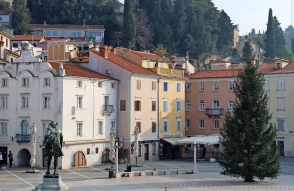 Dvanajst metrov zelenega razkošja
