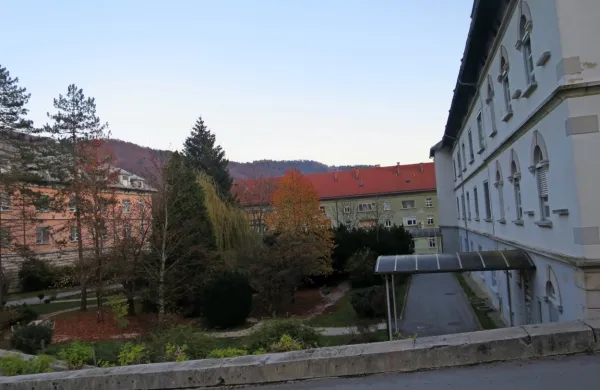 Ali bodo Kapljaši dočakali poimenovanje Psihiatrične bolnišnice 
Idrija po Jožetu Felcu v nemem okolju Idrije, ni znano.