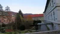 Ali bodo Kapljaši dočakali poimenovanje Psihiatrične bolnišnice 
Idrija po Jožetu Felcu v nemem okolju Idrije, ni znano.