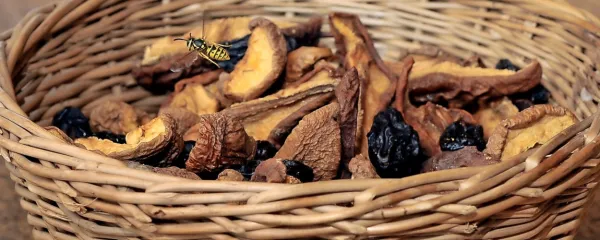 Miklavžev pehar, poln zdravih dobrot: suhe slive, fige, jabolčni 
krhlji ...