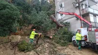 Na Cesti na Markovec je s pobočja za bloki polzela zemljina, zaradi 
česar se je rušilo drevje.