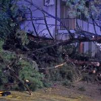 Na Cesti na Markovec je s pobočja za bloki polzela zemljina, zaradi 
česar se je rušilo drevje.