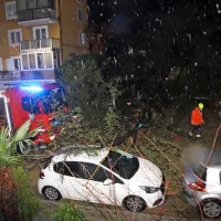 Na Cesti na Markovec je s pobočja za bloki polzela zemljina, zaradi 
česar se je rušilo drevje.