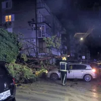 Na Cesti na Markovec je s pobočja za bloki polzela zemljina, zaradi 
česar se je rušilo drevje.