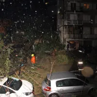 Na Cesti na Markovec je s pobočja za bloki polzela zemljina, zaradi 
česar se je rušilo drevje.