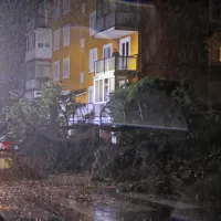 Na Cesti na Markovec je s pobočja za bloki polzela zemljina, zaradi 
česar se je rušilo drevje.