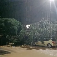 Na Cesti na Markovec je s pobočja za bloki polzela zemljina, zaradi 
česar se je rušilo drevje. (foto: Jasmina Lehpamer)