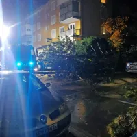 Na Cesti na Markovec je s pobočja za bloki polzela zemljina, zaradi 
česar se je rušilo drevje. (foto: Jasmina Lehpamer)