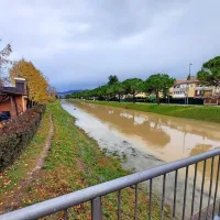 Badaševica zjutraj