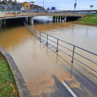 Badaševica, Koper