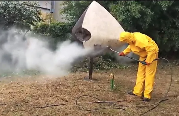 Forma viva bo čistejša