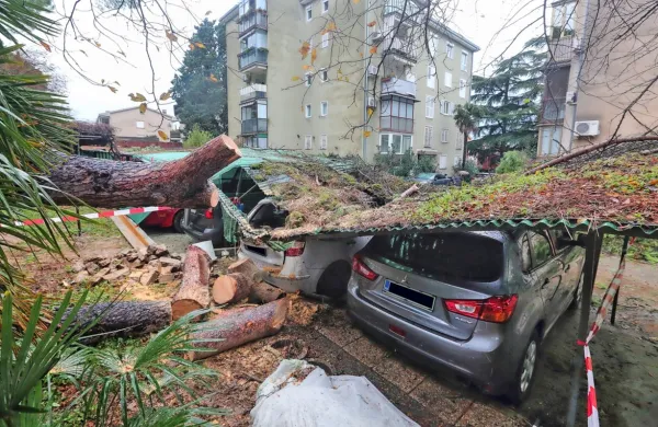 Padlo drevo ob Prešernovi cesti je poškodovalo tri avtomobile. 