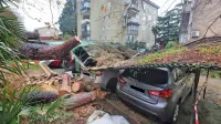 Padlo drevo ob Prešernovi cesti je poškodovalo tri avtomobile. 