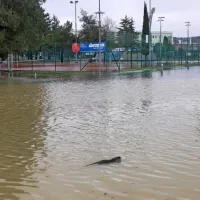 Tudi ŠRC Bonifika je bila pod vodo, česar so se najbolj razveselile 
nutrije. 