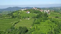 400 briških družin, povezanih v zadrugo, skrbi za 1000 hektarjev 
vinogradov, iz katerih gre grozdje v Klet Brda.