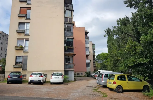V koprski občini navajajo, da zakonodaja ne omogoča brezplačnega prenosa lastništva funkcionalnih zemljišč okoli blokov 
na lastnike stanovanj.