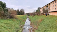 Stanje Korna je bistveno boljše kot nekoč, rac je ogromno, zadnje 
čase je tam med drugim opaziti tudi čaplje. 